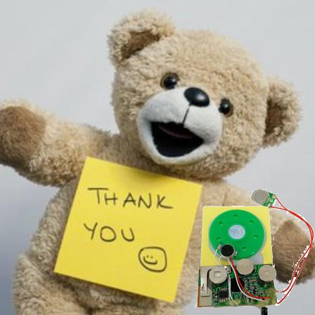 โมดูลดนตรีเสียงเปิด /ปิดที่ควบคุมด้วยปุ่ม สําหรับการบรรจุของขวัญที่สามารถปรับแต่งได้ 6